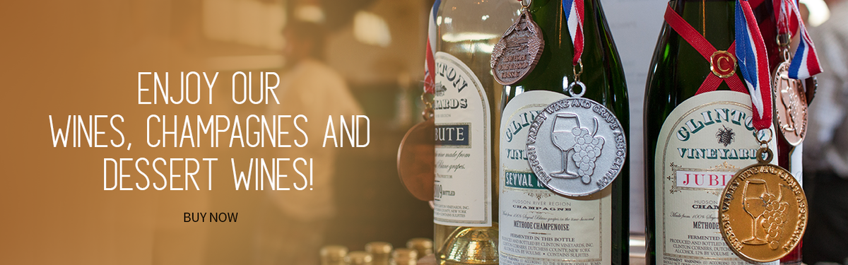 Enjoy Our Wines, Champagnes and Dessert Wines! Buy Now!